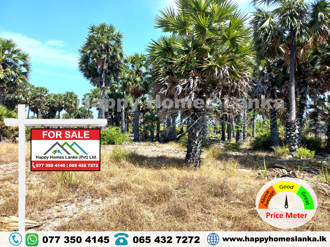 Land for Sale in Chathurukondan Batticaloa – HHL0506