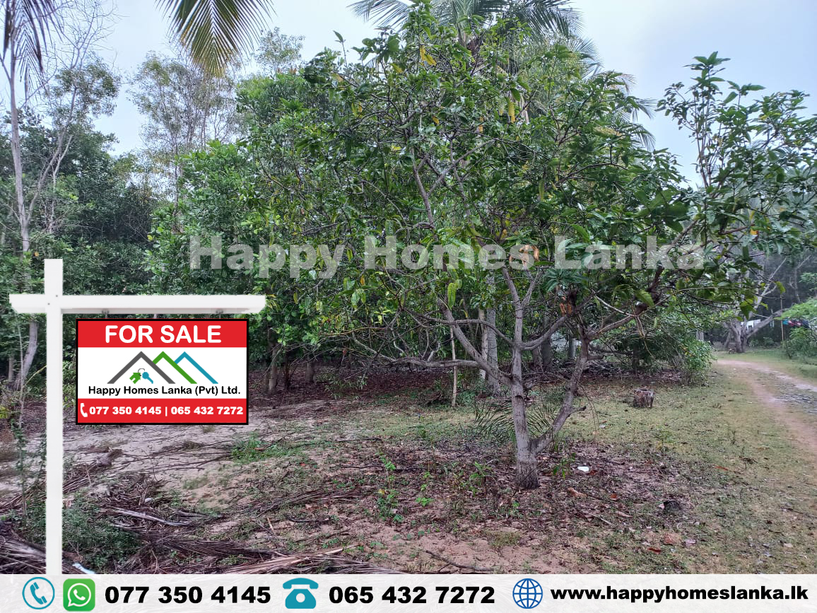 Land for Sale in Mylampavely, Batticaloa. – HHL0653