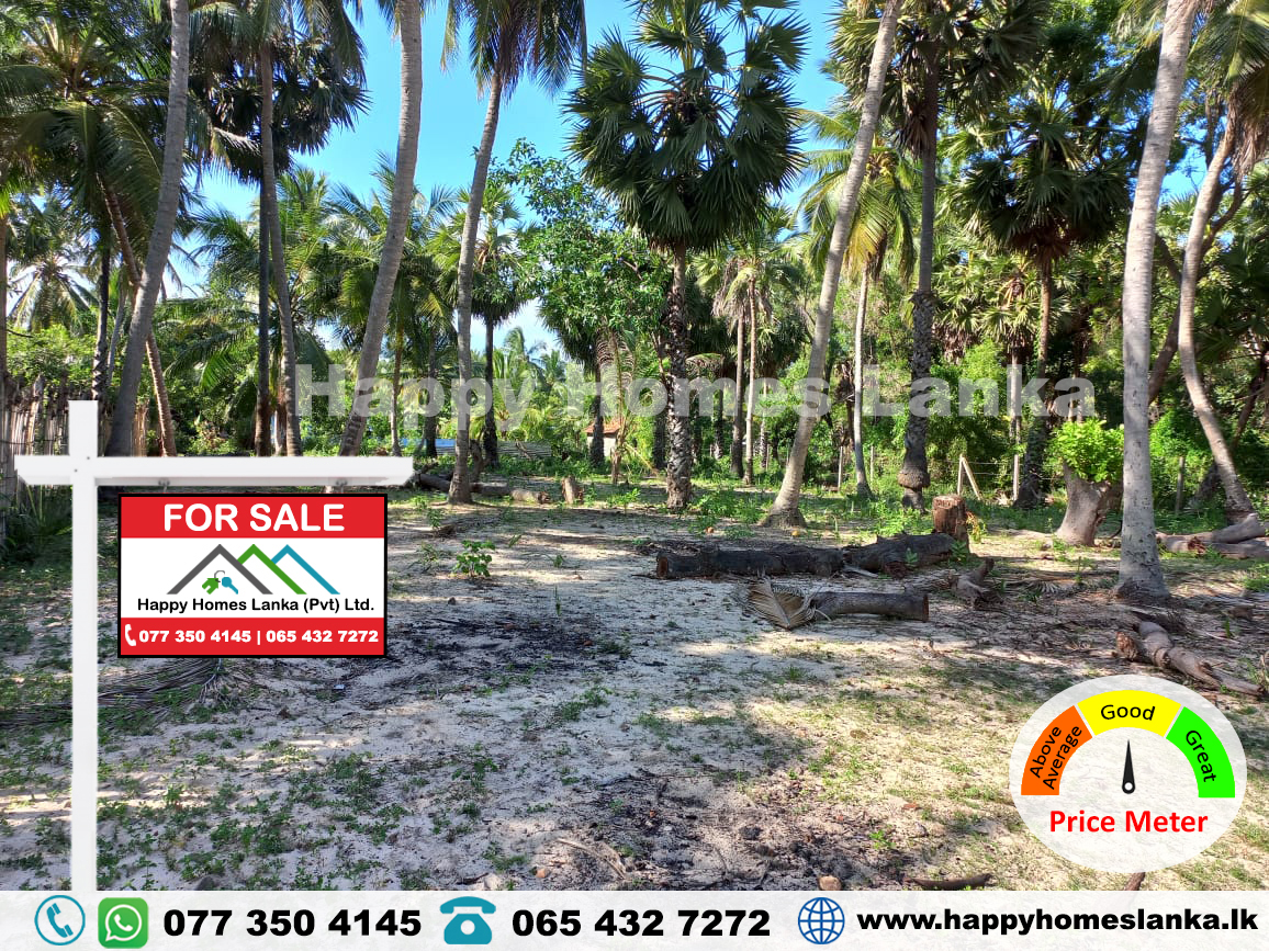 Land for Sale in Mylampavely – HHL0360