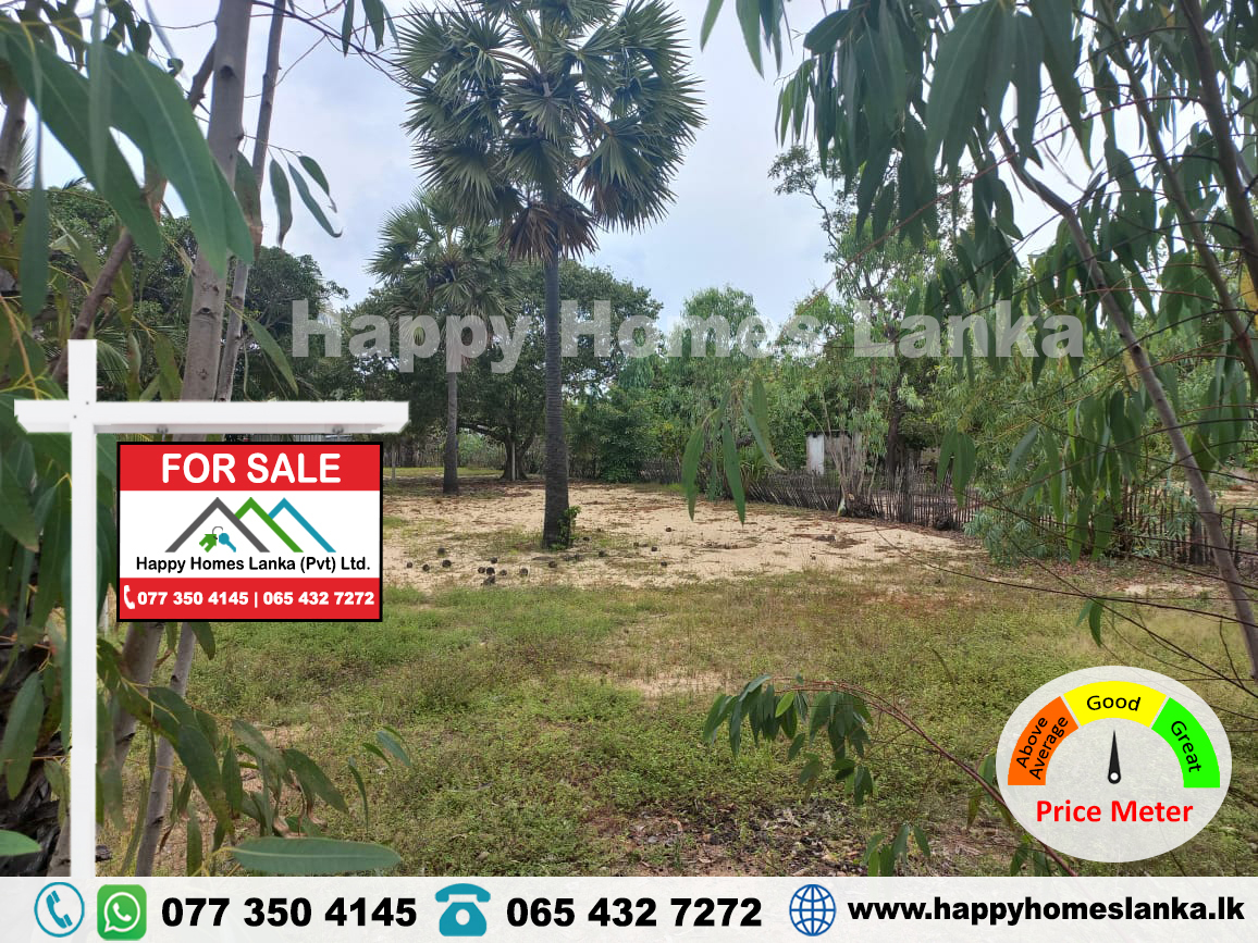 Land for Sale in Panichchaiyady – HHL0703