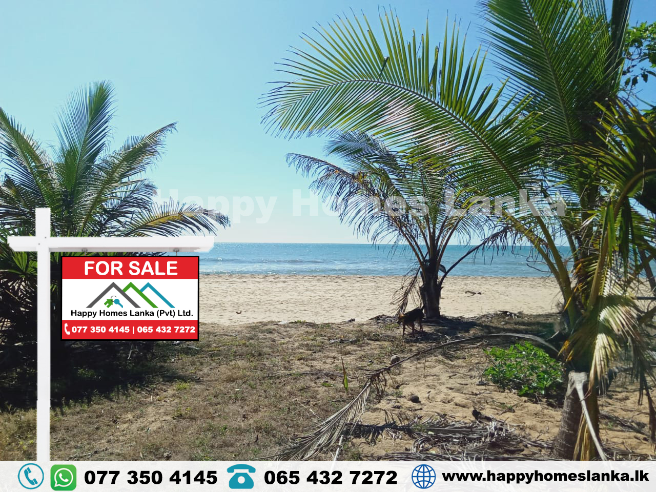 Beach Land for Sale in Addapallam, Nintavur – HHL0781