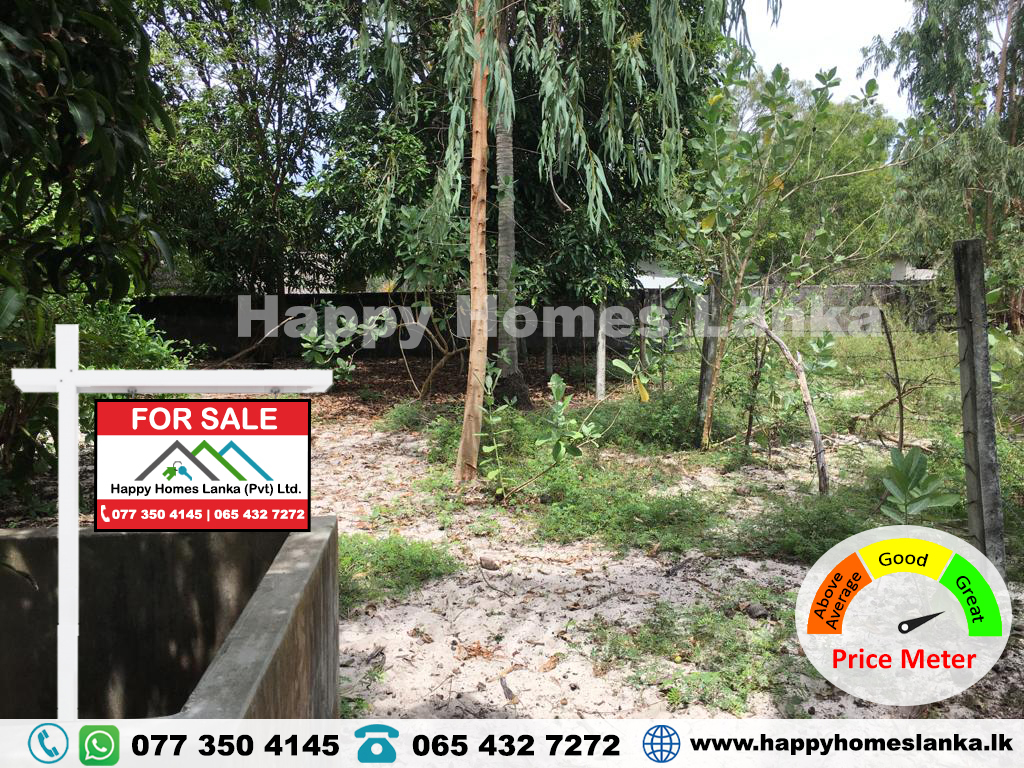 Land for Sale in Thannamunai – HHL0314