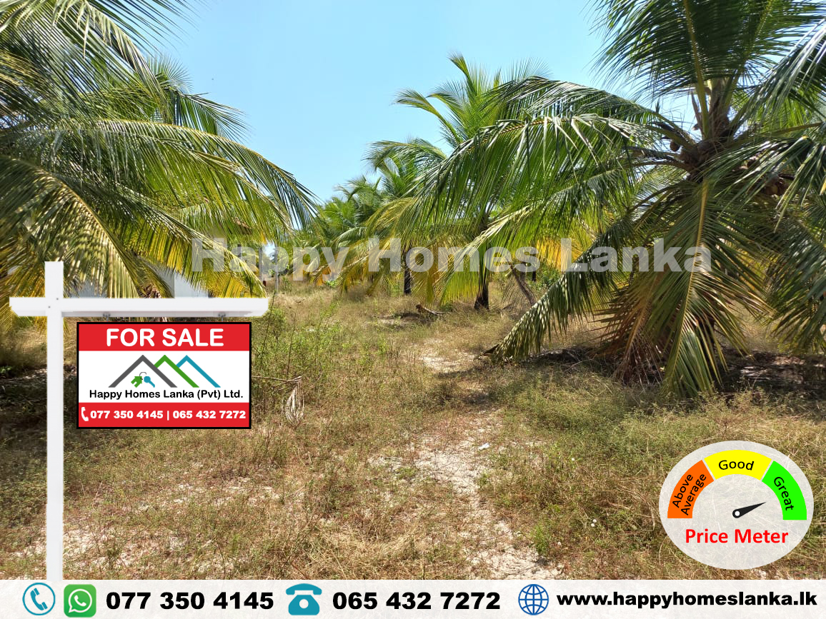 Land for Sale in Thevapuram, Murakkoddanchenai – HHL0740