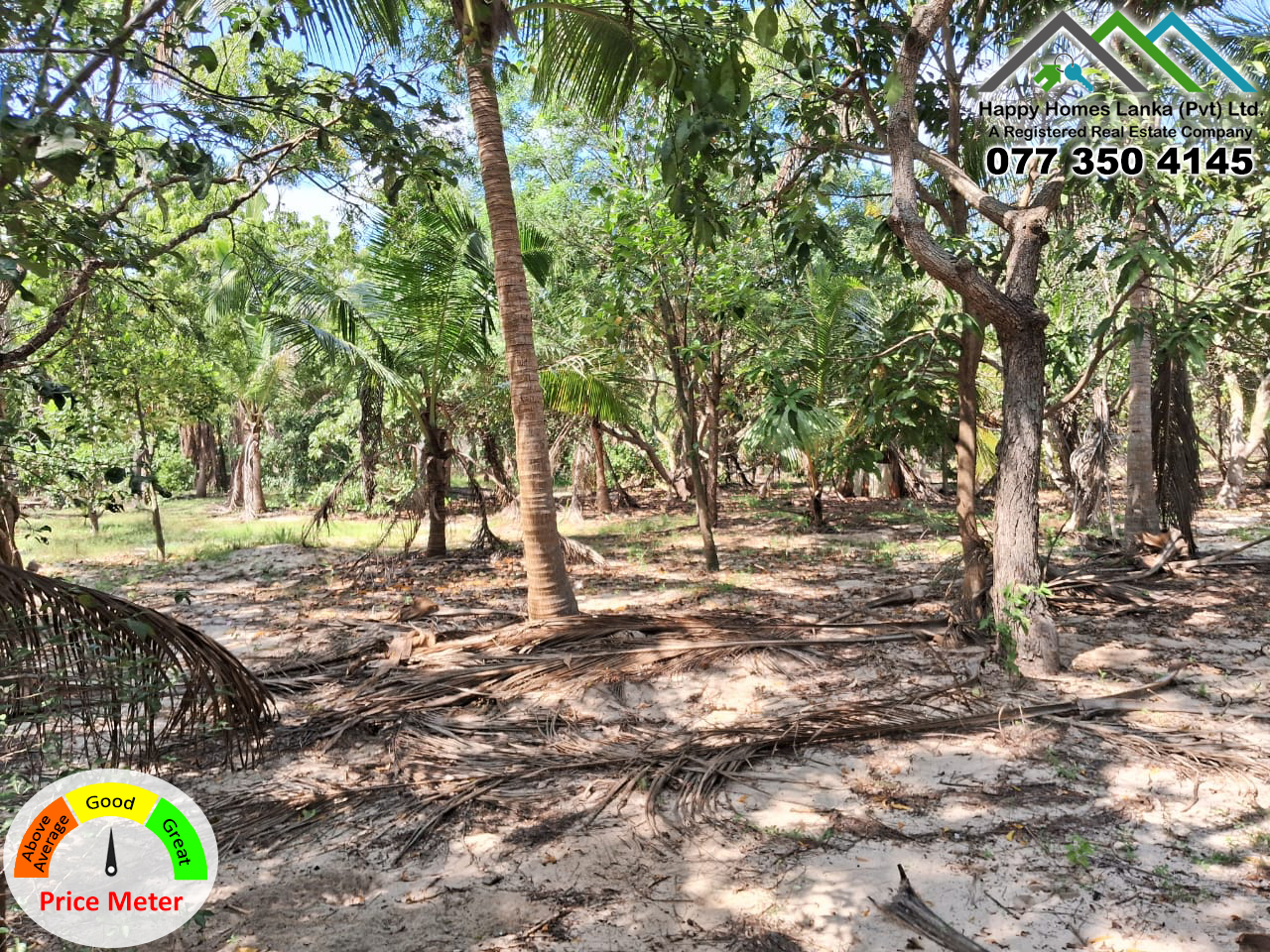 Land for Sale in Mylampavely – HHL0945