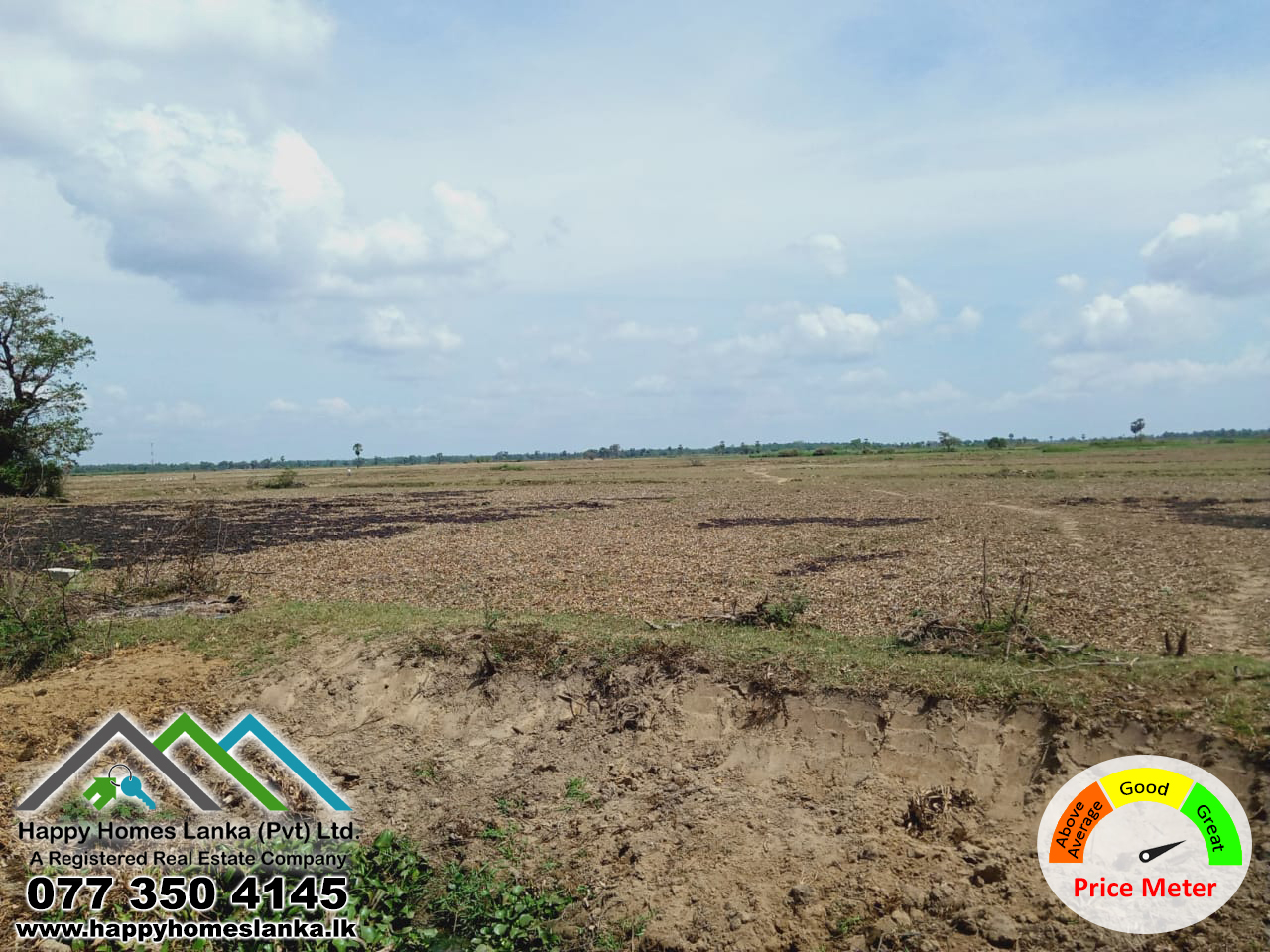 Paddy Land for Sale in Mandur – HHL0989