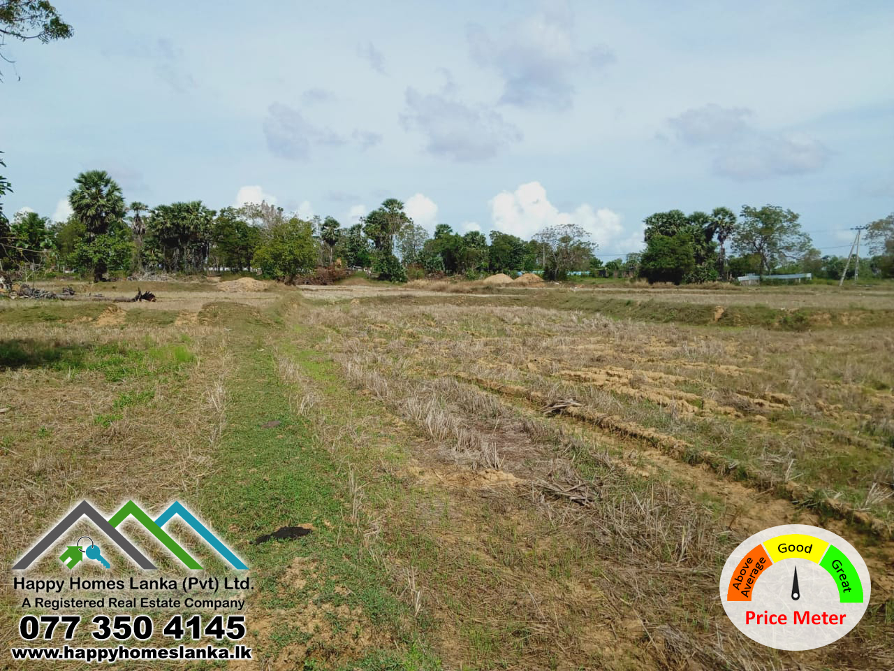 Paddy Field for Sale in Vellavely – HHL0985